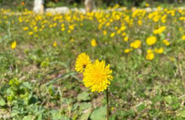 Holiday Home Ruby - Foto 60