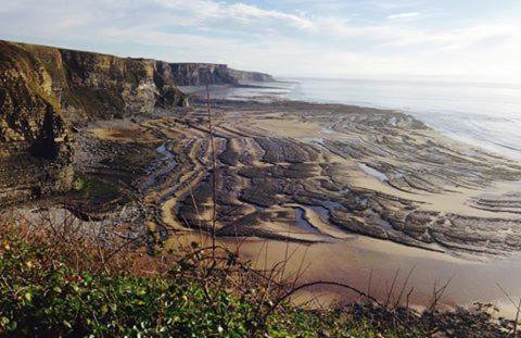 Swallow Cottage - Foto 44