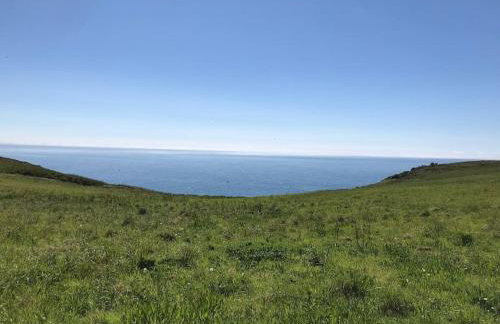 DRIFTWOOD - Super 1 Bedroom Home with Sea Views - Photo 27