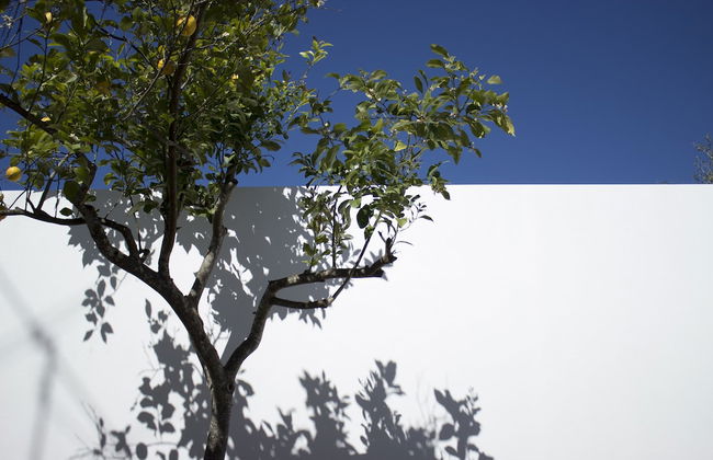 Casa dos Aromas - Foto 33