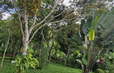 Recanto da Felicidade - Foto 35