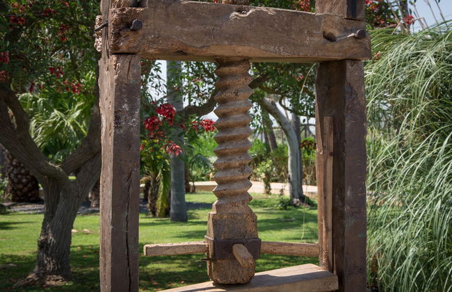 Agriturismo Papyrus - Photo 79