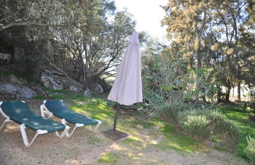 2BA Domaine Malacucina Lumio - Foto 66