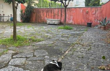 Residenza in palazzo storico del 1601 - Foto 24