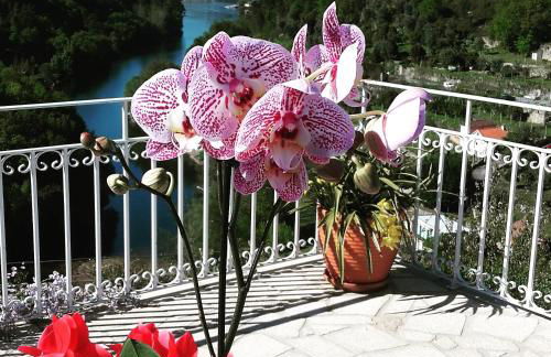 Douro Studio - Foto 41