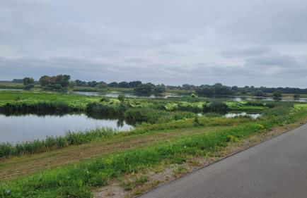 Elb- Havel Ferienhaus - Foto 36