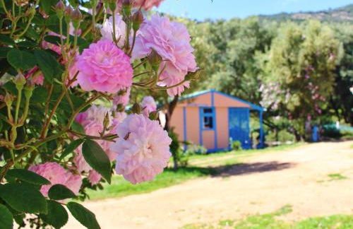 Résidence Itylon - Foto 27