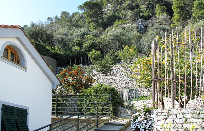 Simone (FLG130) - Foto 10