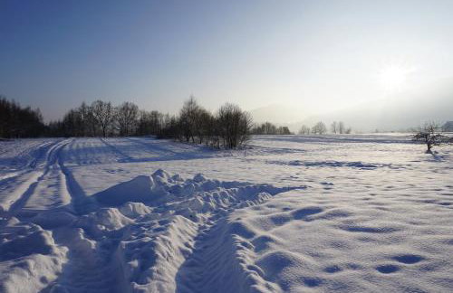 Uroczy Domek z Kominkiem - Foto 40