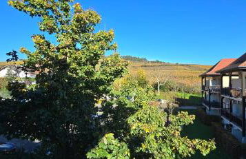 Le Petit Nid - Foto 24