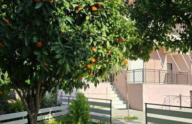 Ilia Sea Side Studios - Foto 46