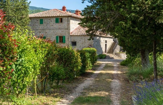 San Leolino - Foto 27