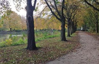 FeWo Küste - Photo 36