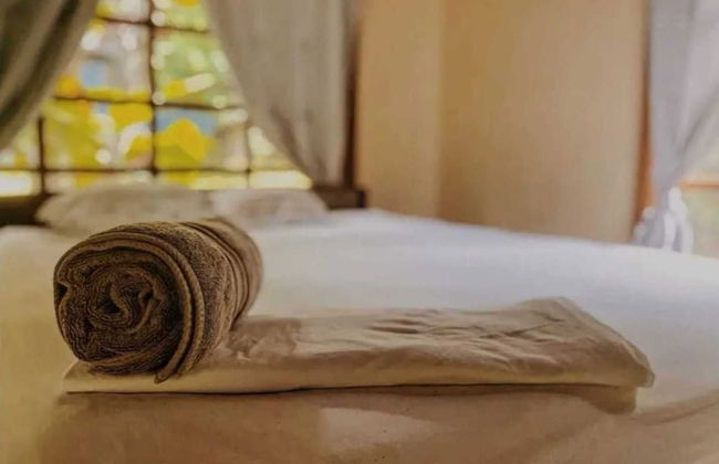 Kinkajoungalows - Foto 5