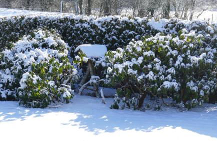 Lieblingsort am Moor - Foto 28