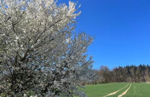 Ferienwohnung mit Kamin am Waldrand - Photo 25