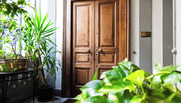 Mini suite with kitchen - Foto 2, Entrada interior