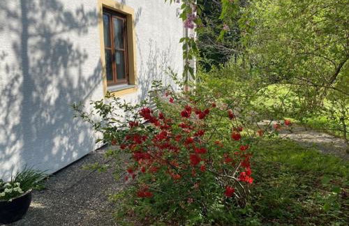 Ferienwohnungen Hanke Barbara - Foto 30