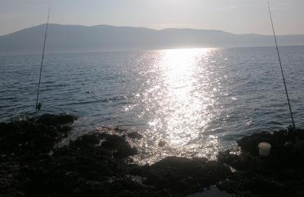 Apartmani Škrnjug - Photo 58