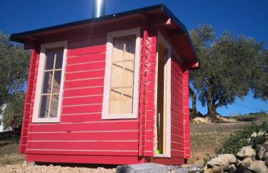 Dehesilla Olive Orchard Retreat - Foto 10