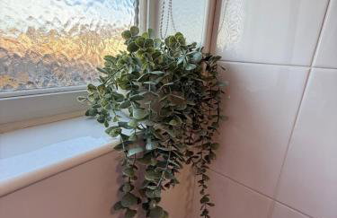 Rochester House - Foto 36