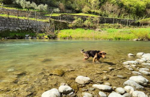 Alma Andaluza - Holiday Apartments - Foto 43