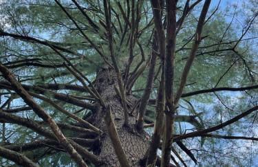 One bedroom with modern kitchen, balcony with water view - Foto 41