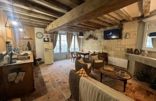 Fontevraud le logis - Foto 18