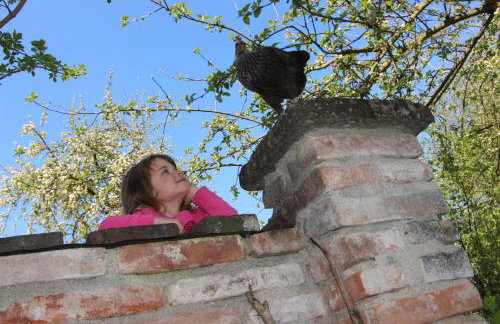 Döllelhof Erding - Foto 43