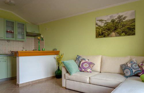 Apartments Vesna - Photo 36