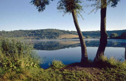 Ferienwohnung Landfein Schalkenmehren - Foto 13