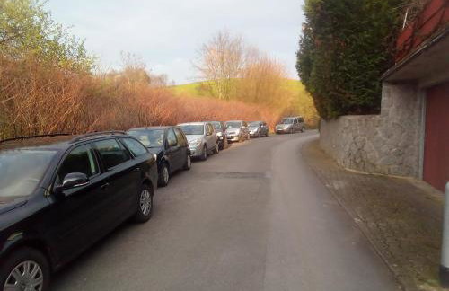 Forest Hill Travel &Work Nettes Apartment mit privatem Eingang Birkenau Mannheim Weinheim Heidelberg - Foto 22