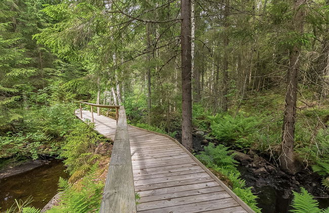 Myllytupa - Photo 35