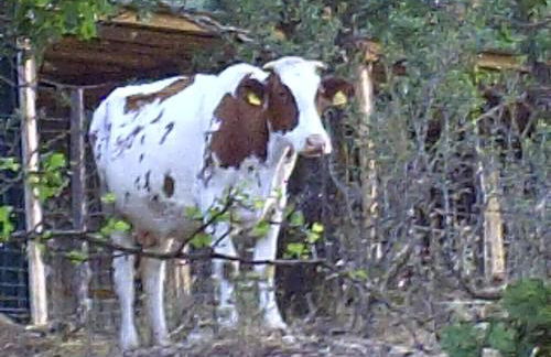 Agriturismo San Pietro - Foto 65