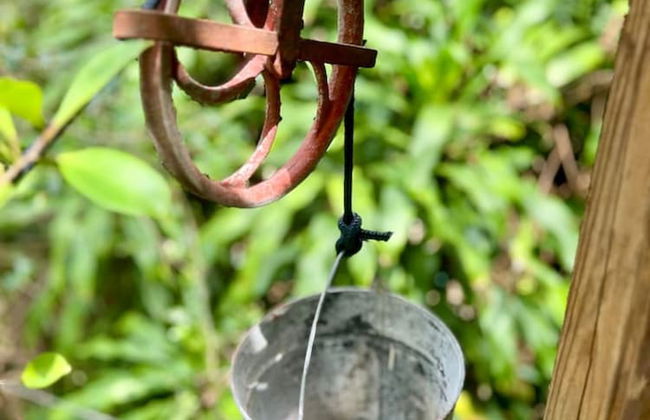 Miami Pool Cottage in El Portal - Foto 64