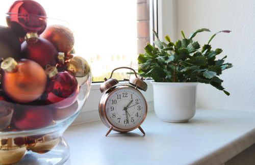 Wohnung mit Blick auf die Zitadelle Petersberg - 3 Zimmer - Foto 44