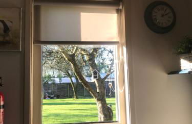 Little Banks Cabin - Foto 40