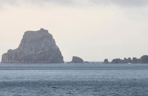 Vivienda Vacacional Sabinosa - Foto 59