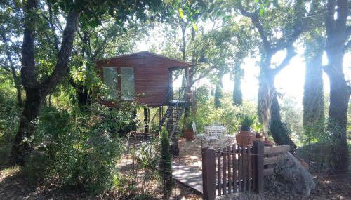 Deliziosa casa sull albero a 30 minuti da Roma - Foto 4, Garden view