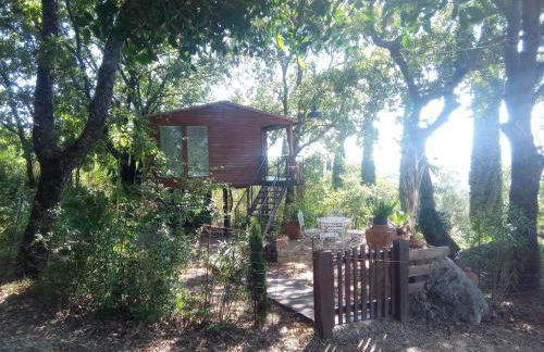 Deliziosa casa sull albero a 30 minuti da Roma - Foto 4