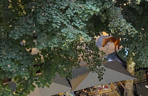 AU 47 ALLÉES D'ETIGNY - CENTRAL & STANDING - avec parking - Linge de lit et de toilette inclus - Foto 77