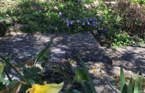 Villa Bella - Two Bedroom House - Foto 44