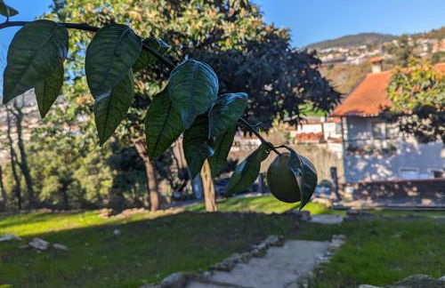 Cantinho dos Avós - Country House - Foto 29