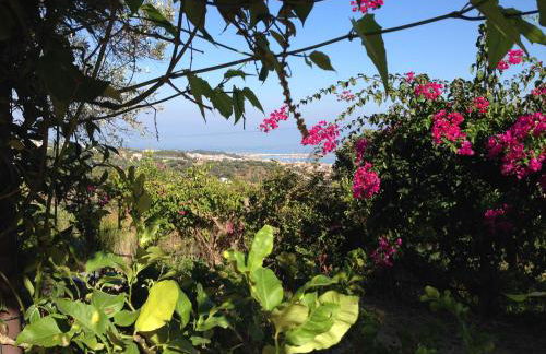 Giardino di Sicilia - Foto 133