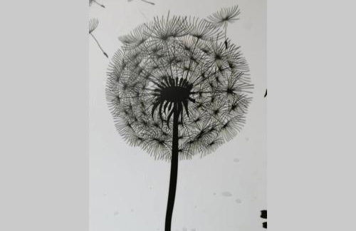 Ferienwohnung Pusteblume Müddersheim Vettweiß - Foto 9