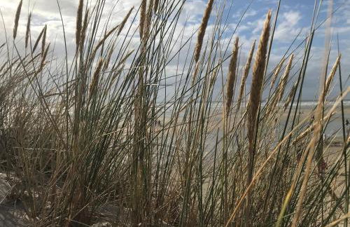 LES BALCONS ROUGES - FACE MER - Foto 21