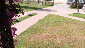 Villa Anna III - Foto 2, Garden