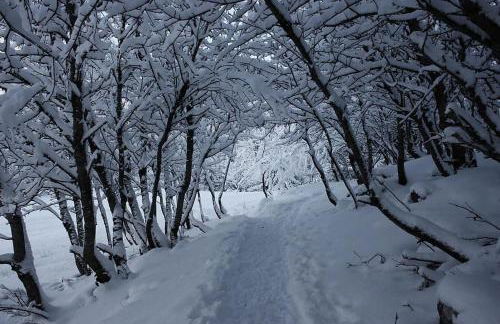 APPARTEMENT DANS CHALET 6 PERSONNES - Foto 6