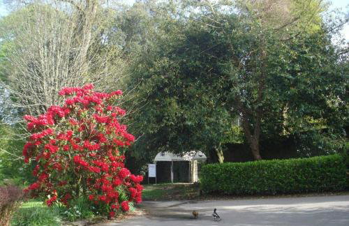 Detached Bungalow in North Cornwall - Foto 16