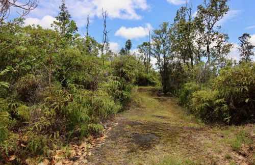 6acres- 6 Bedrms- Soccer Field- Trails- Baths- Swings - Foto 44